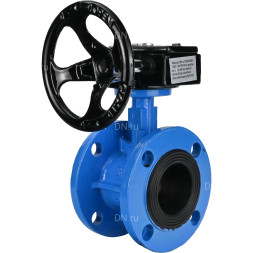 Затвор дисковый поворотный WBV1313E-2W-F-H Ду65 Ру16 фланцевый, корпус - чугун GGG40, диск - чугун GGG40, уплотнение - EPDM, с редуктором RDN RQN1-150Z-T24