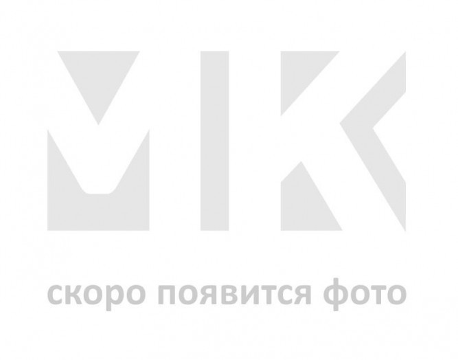 Забор-жалюзи с ламелями Планкен 100 мм Полиэстер в Омске