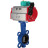 Затвор дисковый поворотный WBV1132N-2W-Fb-H Ду40 Ру16 корпус - чугун GG25, диск - нержавеющая сталь 316L, уплотнение - NBR, с пневмоприводом PA-DA-052 и магнитным переключателем ALS200D в Омске