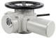 Электропривод многооборотный MT-N-020EM-O2-220VAC-У1 220В тип Б