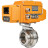 Затвор дисковый поворотный WBV3131S-2W-T-H Ду20 Ру10 резьбовой, корпус - пищевая нержавеющая сталь 304, уплотнение - Silicon, с электроприводом QT-N-005EM-A1-220VAC-У1 c датчиком обратной связи и входным управляющим сигналом 4-20мА HARK в Омске